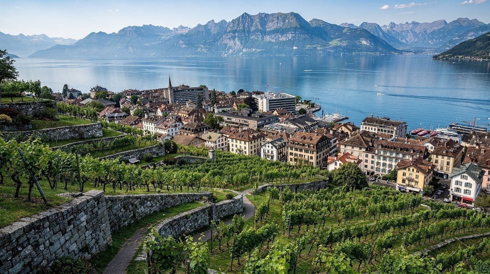 Lavaux or Valais: Which Swiss Wine Country Should You Actually Visit