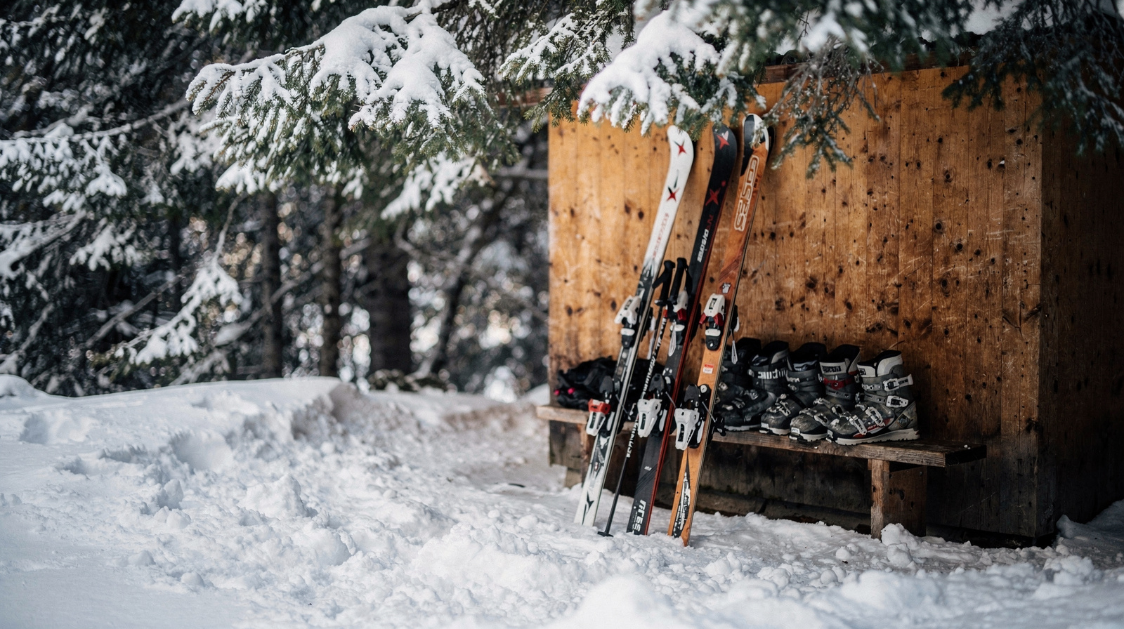 Winter Sports and Ski Day Trips