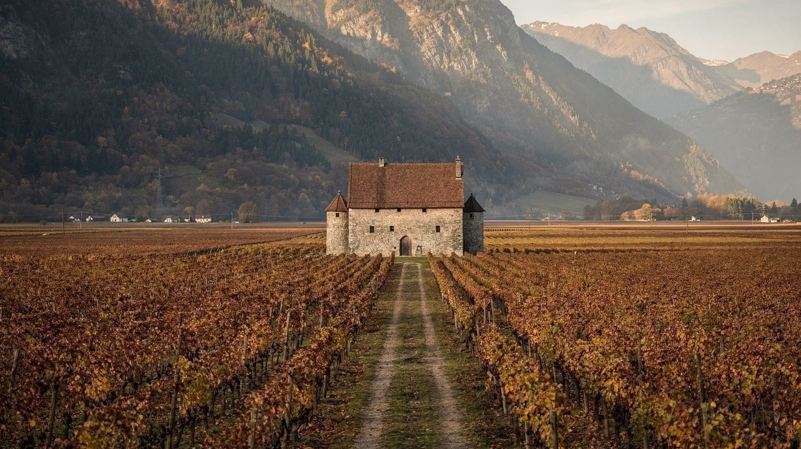 Aigle