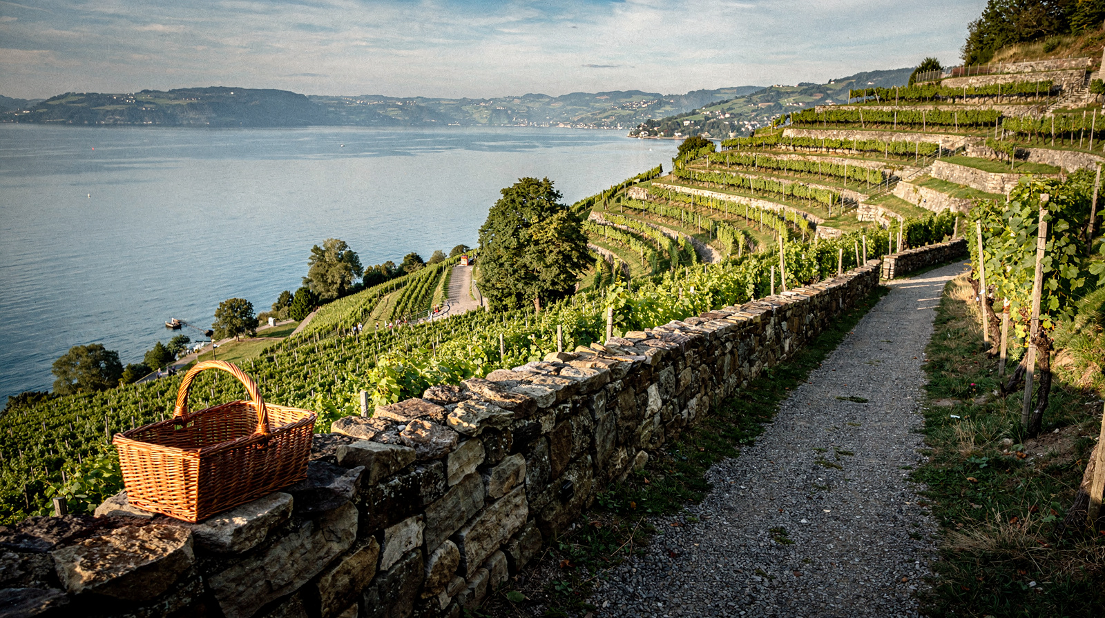 Aigle: Wine and Castle in the Chablais Vaudois