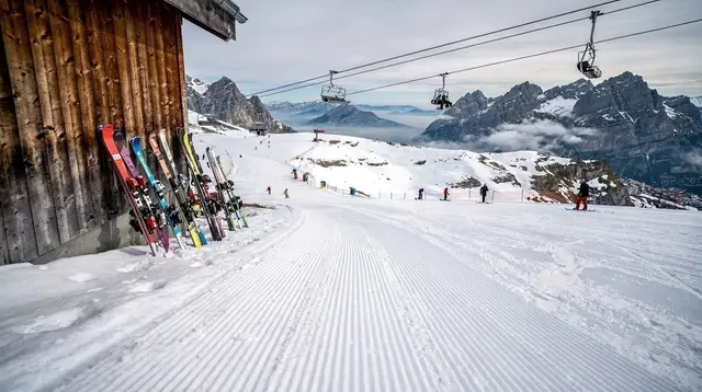 Glacier 3000: Peak Views, Suspension Bridge and Glacier Skiing
