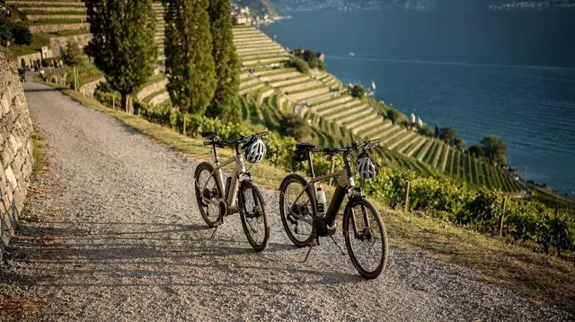 Biking the Lavaux Vineyard Terraces by E-Bike or Scooter