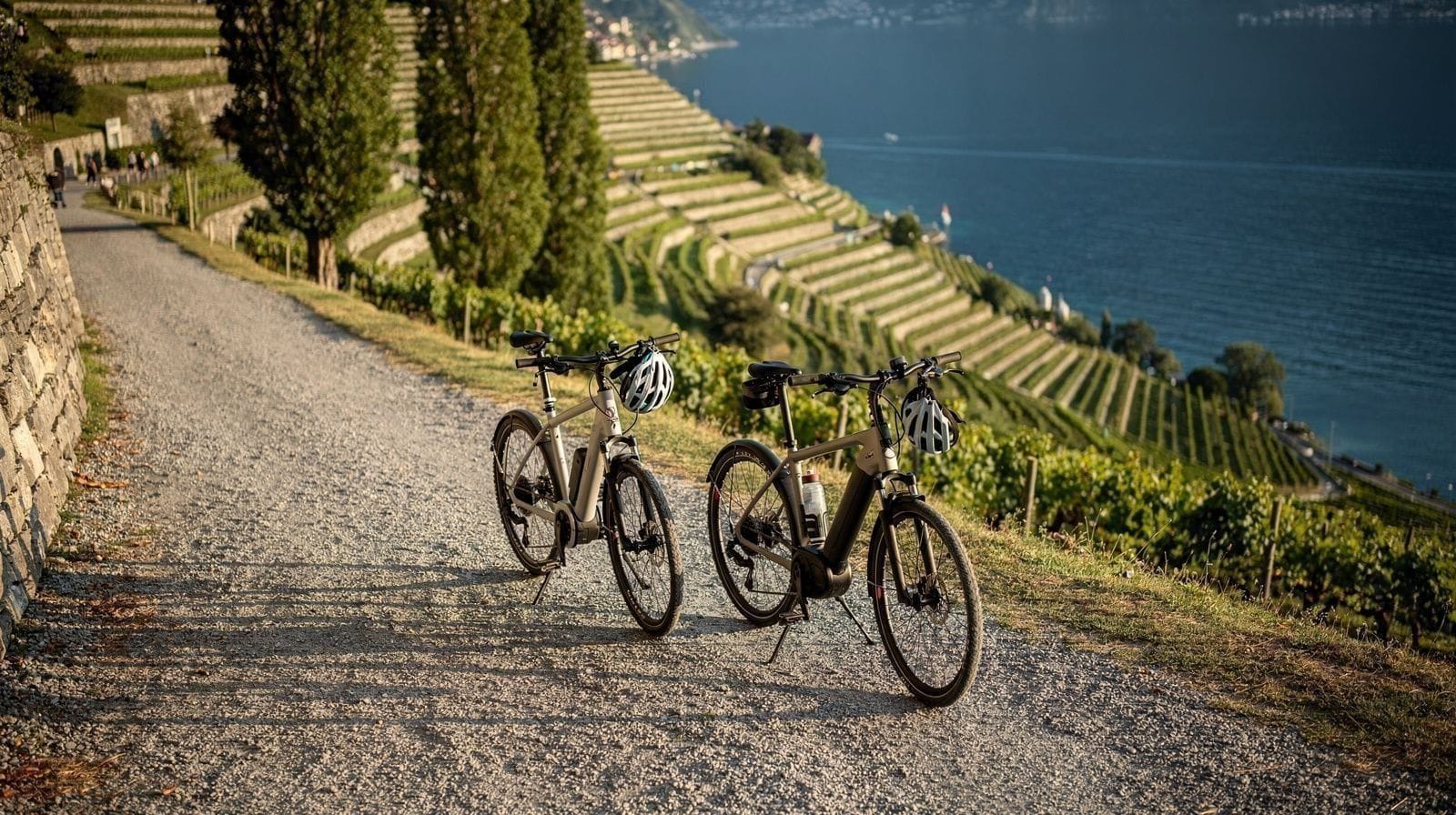 Biking the Lavaux Vineyard Terraces by E-Bike or Scooter