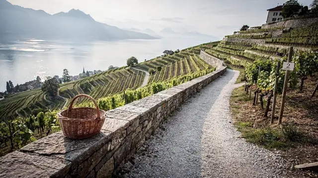 Aigle: Wine and Castle in the Chablais Vaudois