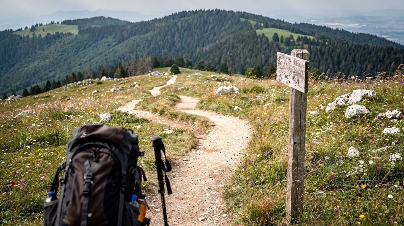 Hiking Mont Salève: Geneva's Nearest Mountain, Just Across the French Border