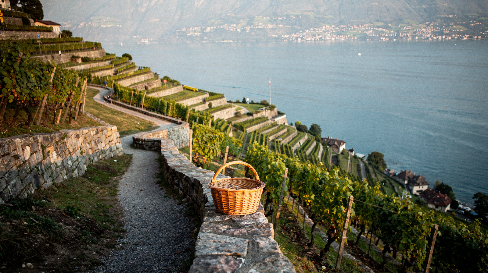 Nyon Wine Country: La Côte Vineyards Near Geneva