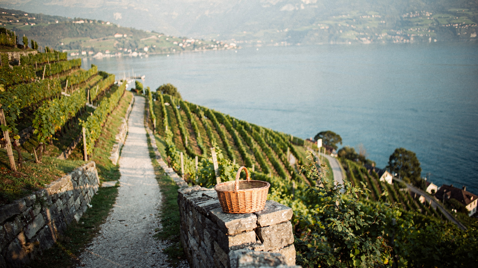Sion Wine Country: Valais Vineyards Beyond Lavaux