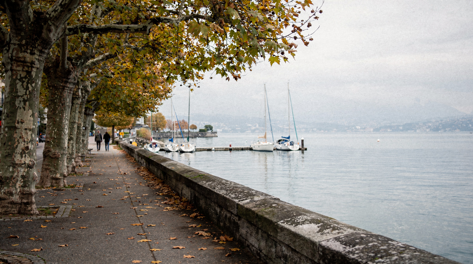 One Day in Lausanne and the Lavaux Vineyards